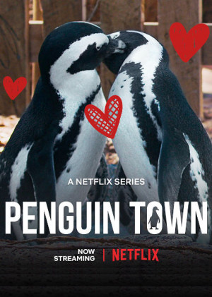 Colonia Pingüino (2021)