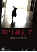 Color perro que huye