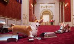 Corgi: Las mascotas de la reina