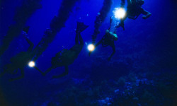 Cousteau: Pasado y futuro