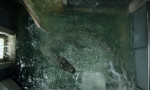 Infierno bajo el agua