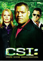 CSI: Las Vegas (10ª temporada) (2010)