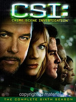 CSI: Las Vegas (6ª temporada)