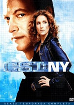 CSI: NY (6ª temporada) (2009)