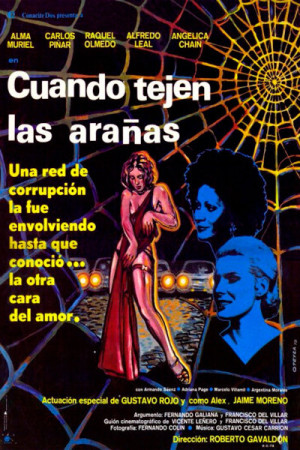 Cuando tejen las ara&ntilde;as
