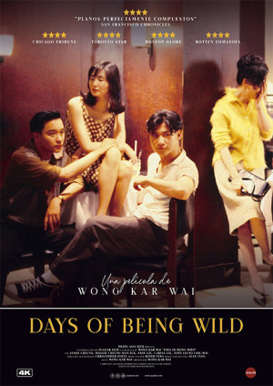 Days of Being Wild (1991)