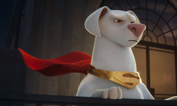 DC Liga de Supermascotas