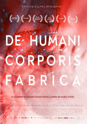 De Humani Corporis Fabrica