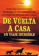 De vuelta a casa (1993)