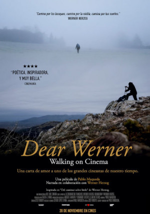 Dear Werner