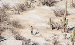 Desierto