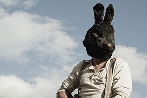 Dhogs foto crítica.