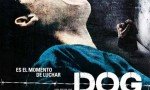 Dog Pound (La perrera)