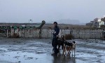 Dogman