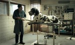 Dogman