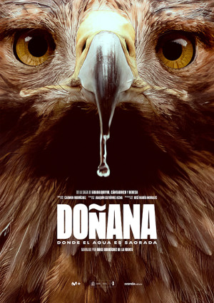 Doñana, donde el agua es sagrada