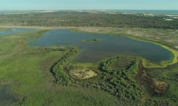 Doñana, donde el agua es sagrada