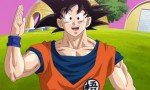 Dragon Ball Z: La batalla de los dioses