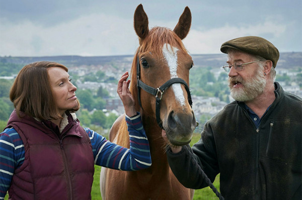 Caballo soñador foto crítica.