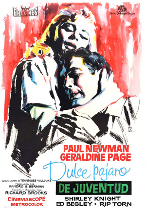 Dulce pájaro de juventud (1962)