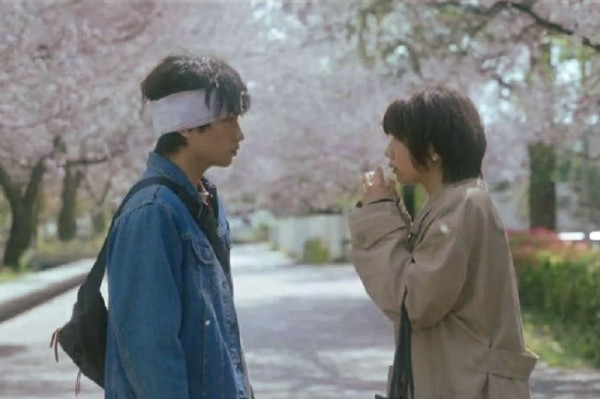 Efímera como la flor del cerezo foto crítica.