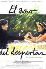 El año del despertar