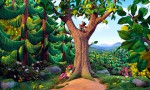 El bosque de Haquivaqui