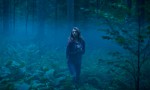 El bosque de los suicidios