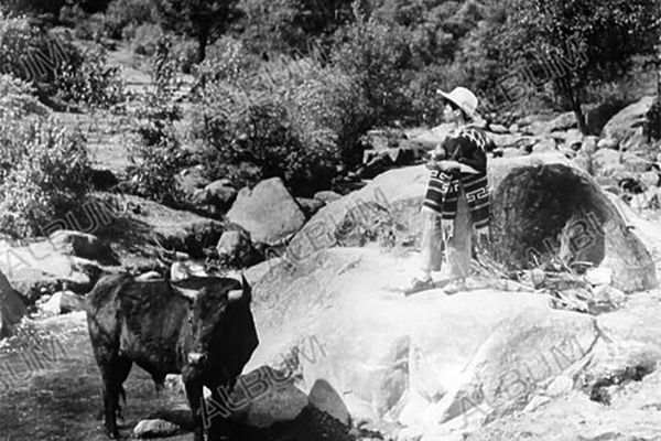 El Bravo foto crítica.