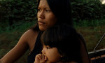 El canto de la selva