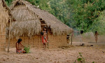El canto de la selva