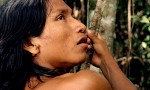 El canto de la selva