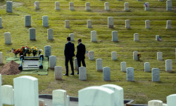 El contratista