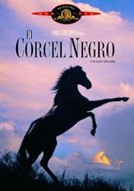 El corcel negro (1979)
