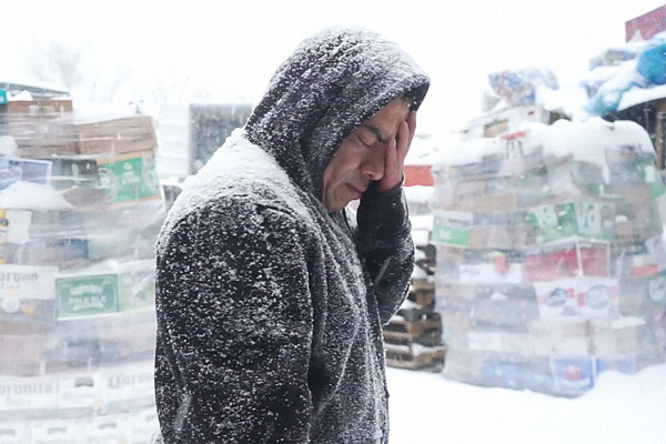 El cuarto reino: El reino de los plásticos foto crítica.