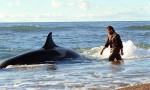 El faro de las orcas