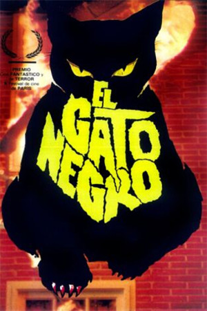 El gato negro
