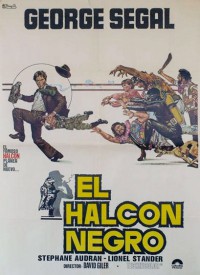 El halcón negro