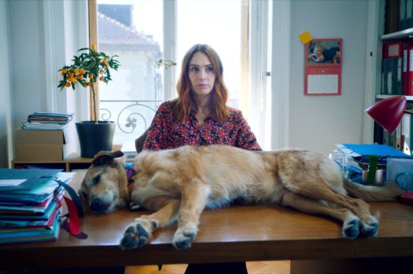 El juicio del perro foto crítica.