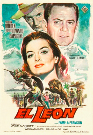 El león