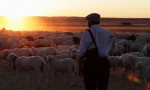 El pastor