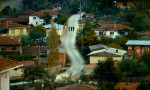 El peral salvaje