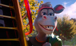 El rey Burro