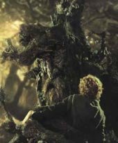 El viejo Bárbol