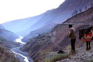 El último viaje del juez Feng foto crítica.