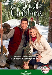 El valle de la Navidad (2016)