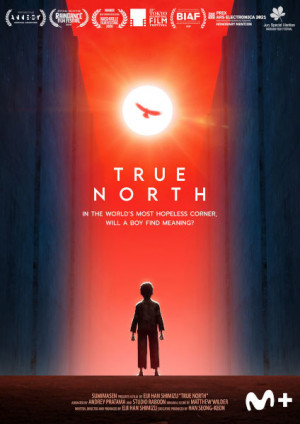 El verdadero norte (2020)