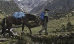 En busca de la Ciudad Perdida