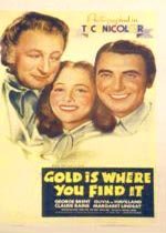En busca del oro