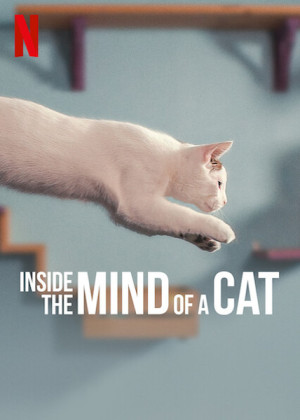 En la mente de un gato (2022)